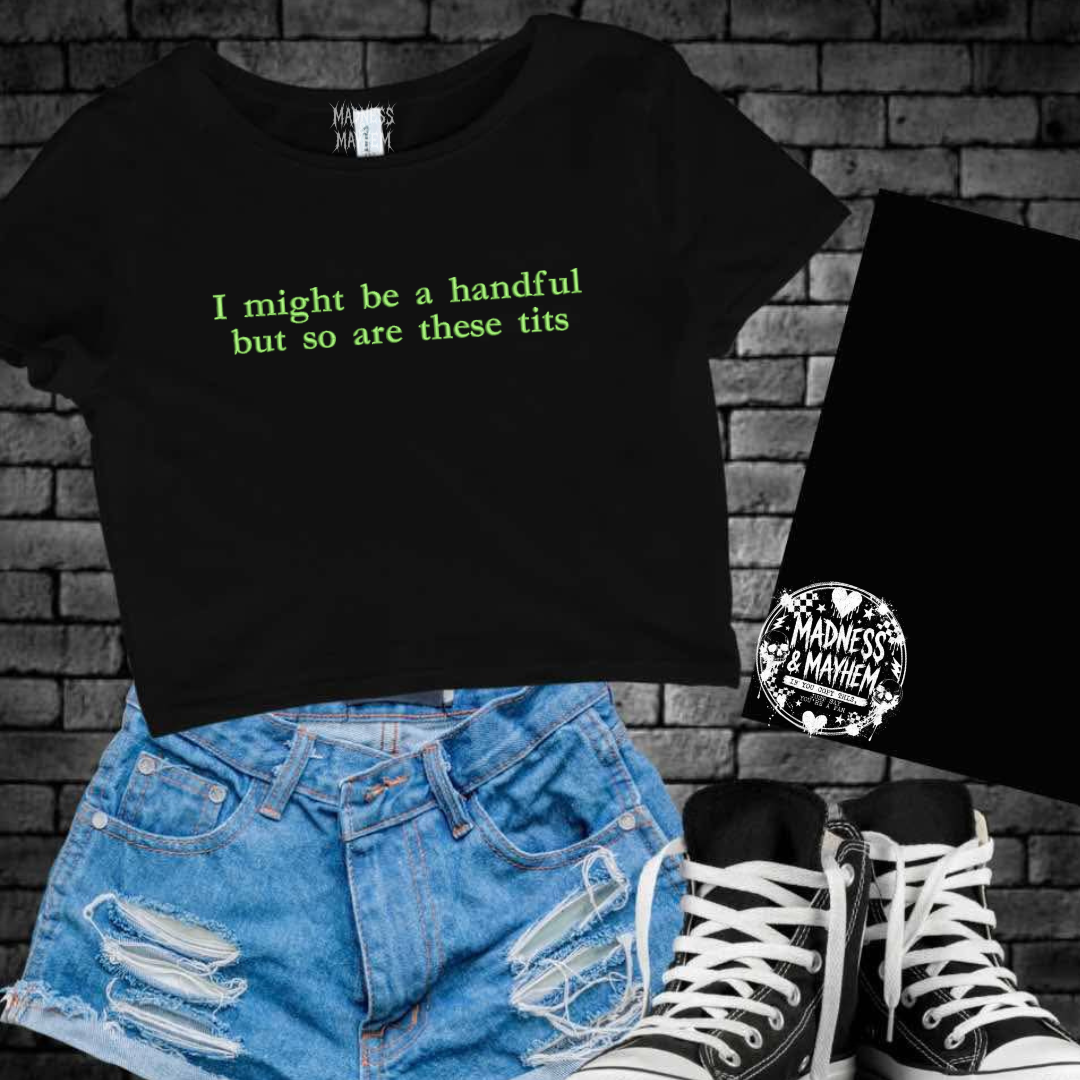 Handful tits embroidered cropped tee