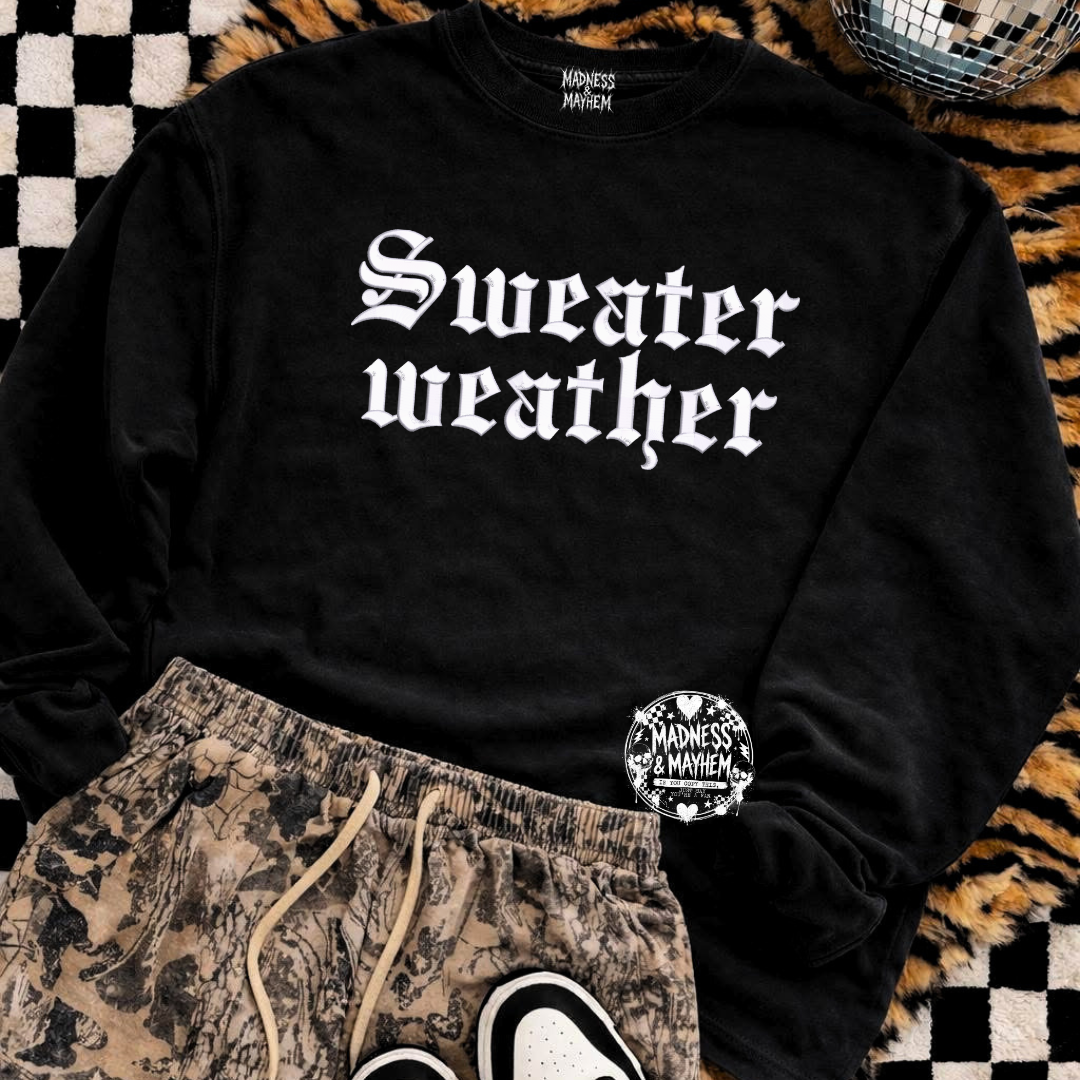 Sweater weather embroidered sweatshirt