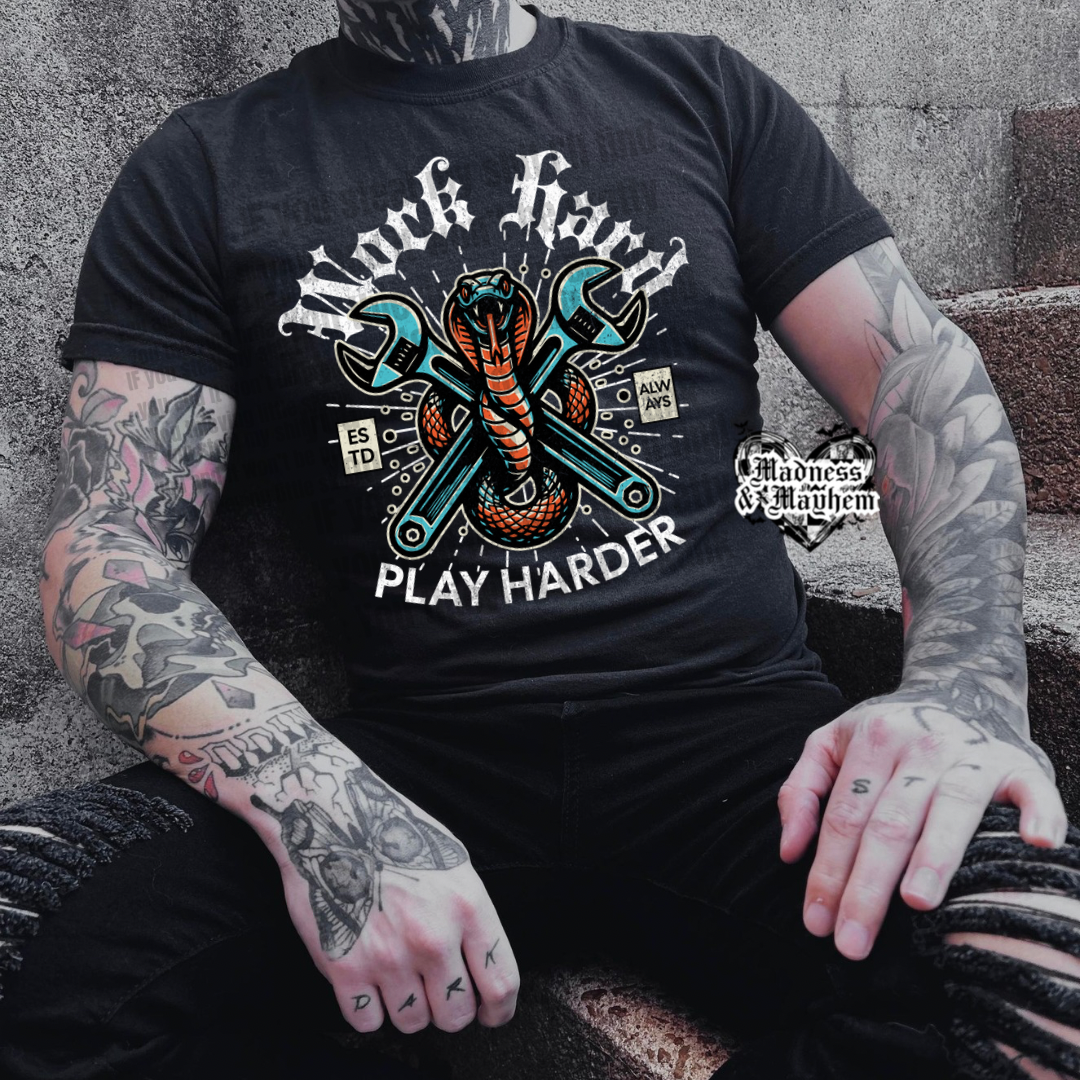 Mens work hard play harder TShirt