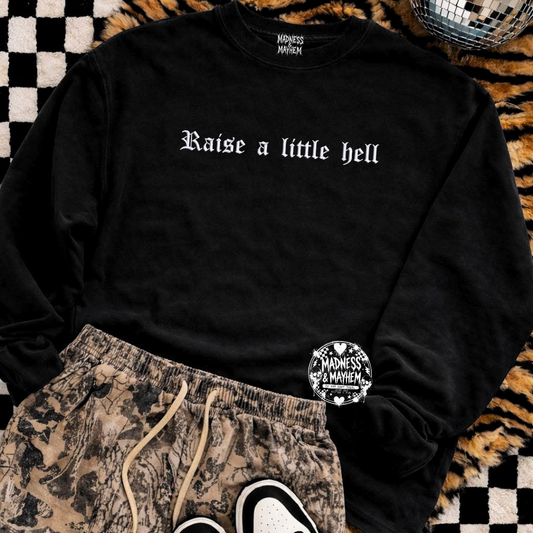 Raise a little hell embroidered sweatshirt