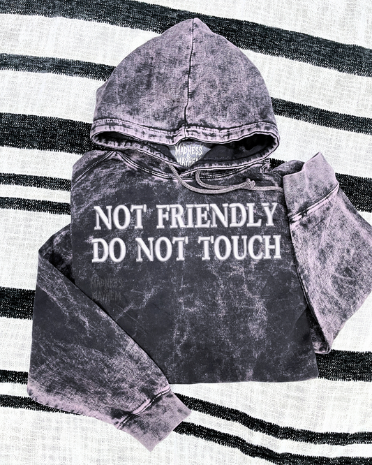 Not friendly do not touch mineral wash Hoodie