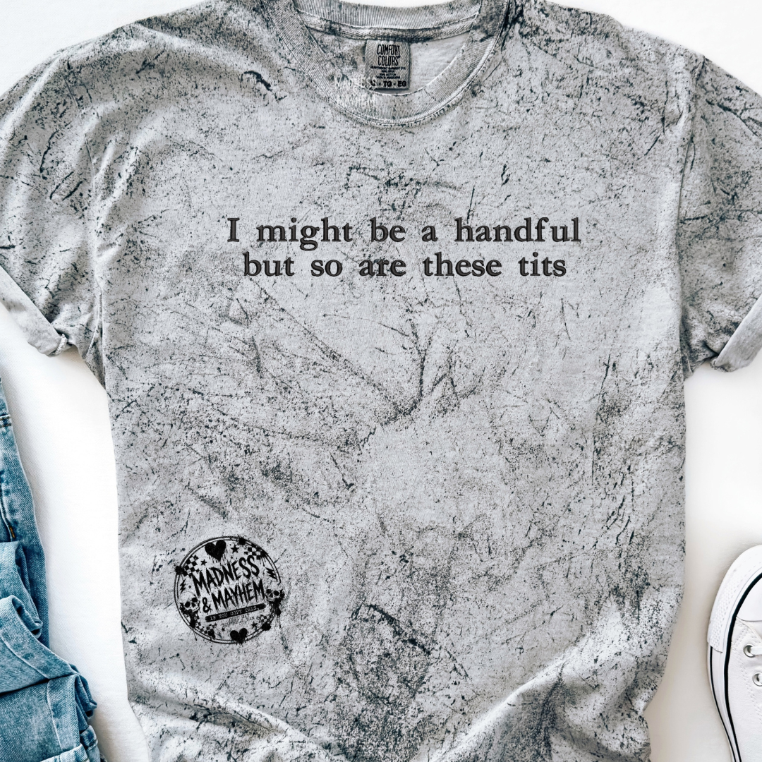 Handful tits embroidered color blast tshirt