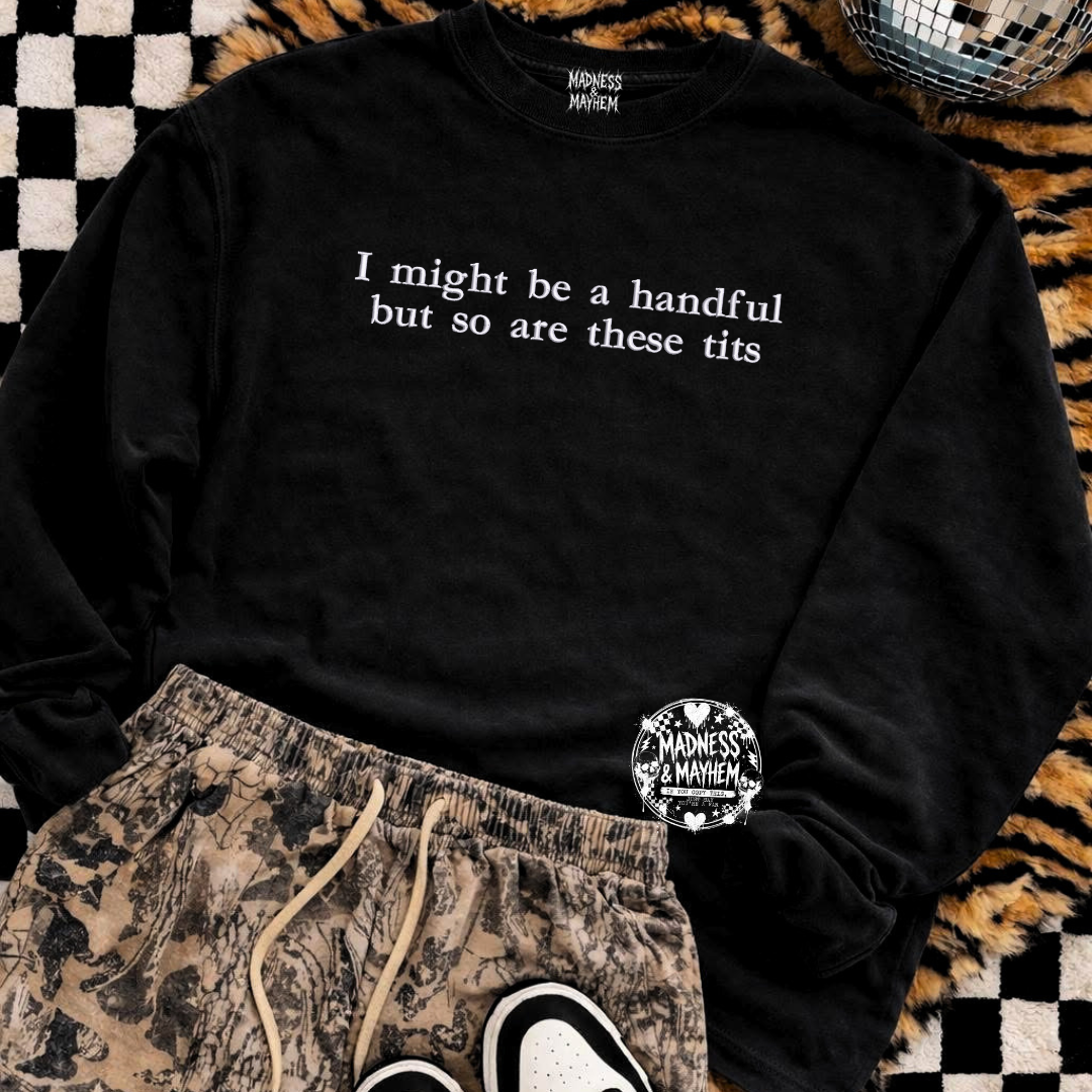 Handful tits embroidered sweatshirt