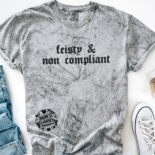 Feisty embroidered color blast tshirt