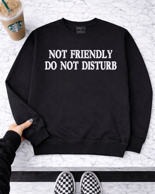 Not friendly DO NOT DISTURB embroidered sweatshirt